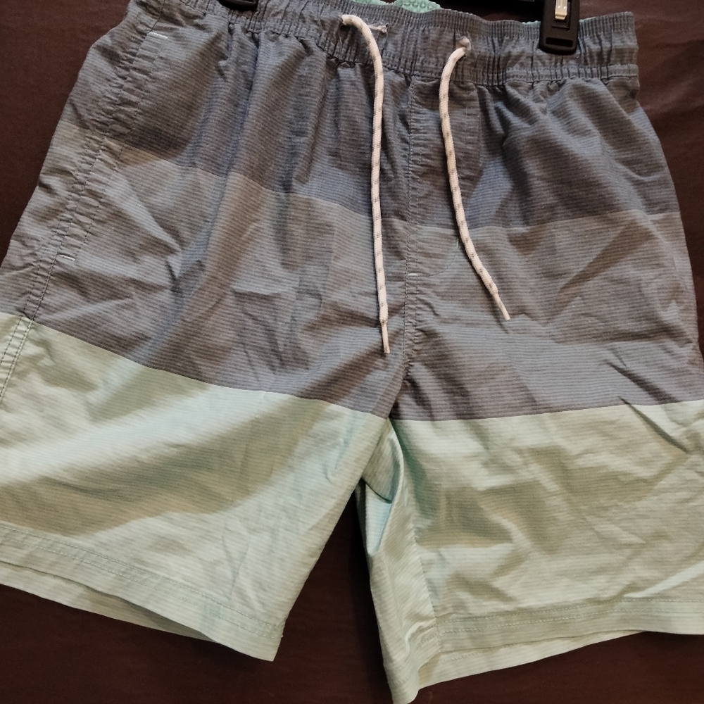 Boyd Blue Swim Shorts